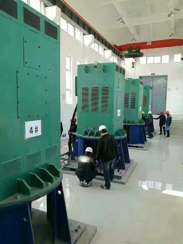 Y630-12某污水处理厂使用我厂的立式高压电机安装现场