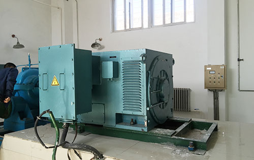 Y630-12某水电站工程主水泵使用我公司高压电机